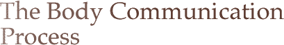 The Body Communication Process