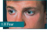 How eyes look at Fear