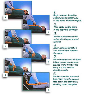 Showing the steps of a nerve assist