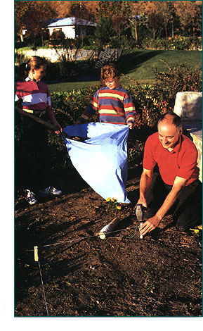 Group of people cleaning up yard