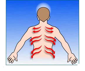 Outline of man showing nerve channels flow from spin to the sides
